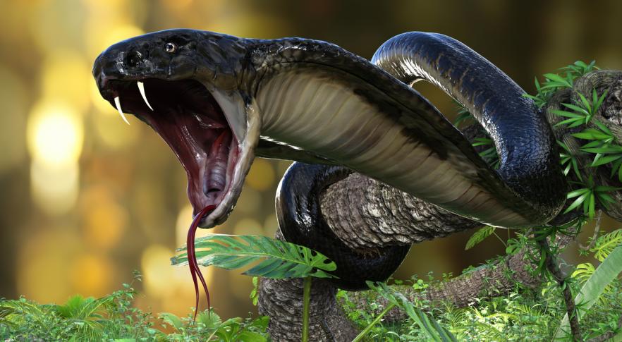 Descubren el fósil de una monstruosa serpiente prehistórica