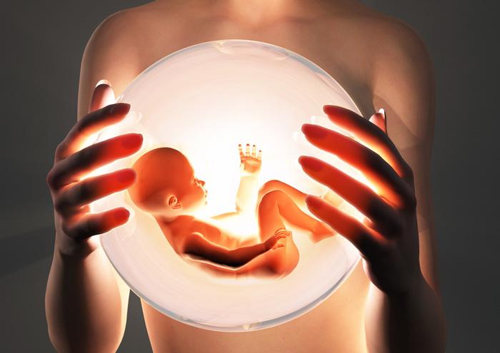 Controversia científica: quieren legalizar los embriones humanos transgénicos-0