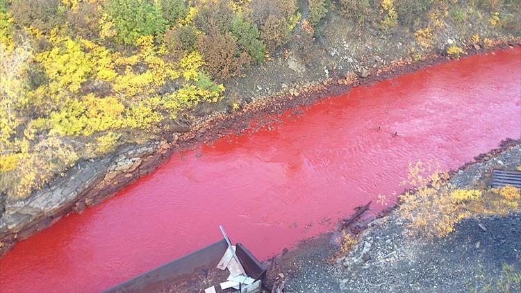 Foto: Las aguas de un río se tiñen de rojo sangre-0