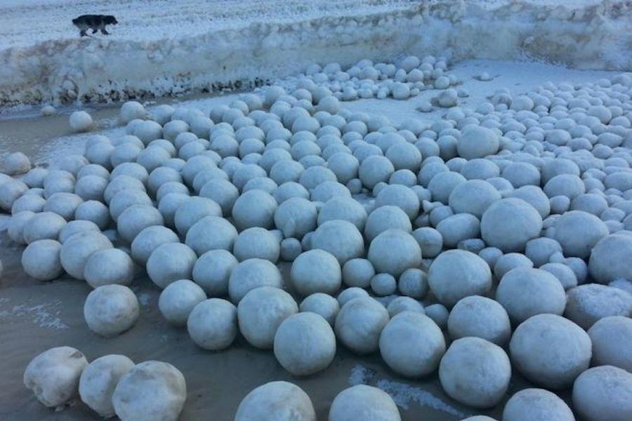Extrañas esferas blancas en una playa rusa conmocionan a la población-0