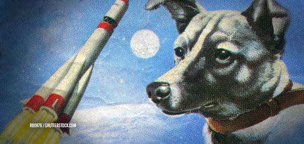 Cinco tristes datos sobre Laika, la perra astronauta-0